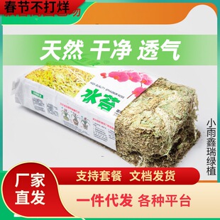 һ�����l��ˮ̦�����m�o���B�m���Ķ����̦�\�r��Nֲ�I�B��