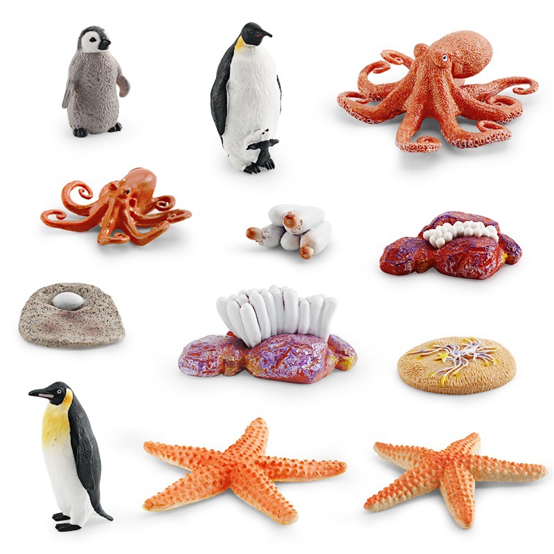 Simulación transfronteriza modelo de ciclo de crecimiento animal marino pulpo pingüino estrella de mar crecimiento transformación proceso decoración juguete