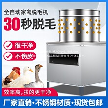 ����Óë�C���Ú��u���Z��ë�CС��ȫ�Ԅ���ë�C���P��u��Óë�C