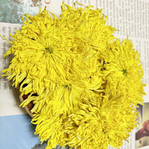 New goods wholesale bulk Huangshan Golden Silk Chrysanthemum, local source Golden Silk Chrysanthemum tea, one flower per cup, Golden Silk Chrysanthemum.
