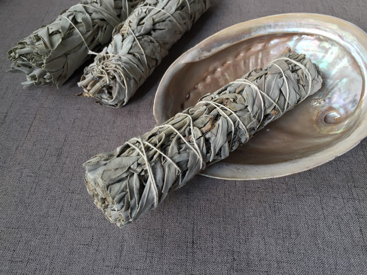 澳洲白鲍鱼贝壳大海螺创意家居摆件烧鼠尾草容器观赏鱼缸盆栽装饰 图 10