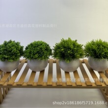 仿真花仿真盆栽仿真绿植半圆球突松菊松办公室造景亚马逊厂家批发