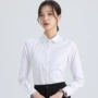 长袖修身新款春秋衬衫