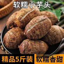 ���ţ��С���^ë���^�������^���r�߲ˬF���ȰlС�������󼴿�ʳ