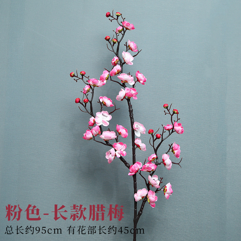 긴 핑크 윈터스윗