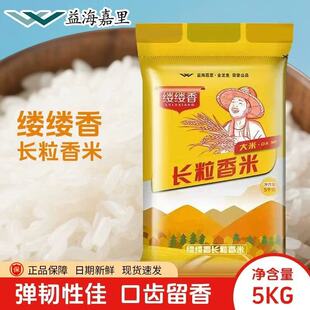 �溣��������~ �|�|���L������5kg  10����հ��b ���l�Fُ����