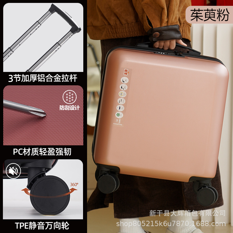 C-01 로즈골드 [스크래치방지, 내마모성 PC소재]