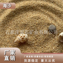 海沙沙疗沙画造景人工沙坑儿童沙滩厂家供应沙子无粉尘水洗海沙