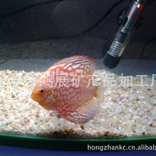 生产加工水族鱼缸专用砂（水族彩沙）底砂、水草沙景观砂