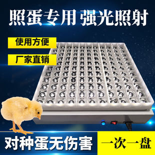 [Factory Direct Sales] Whole Plate Egg Incubator Incubates Eggs, Inspects Eggs, Penetrates Cold Light Flashlight