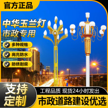 中华灯玉兰灯LED路灯高杆灯户外广场市政道路公路6米8米景观灯