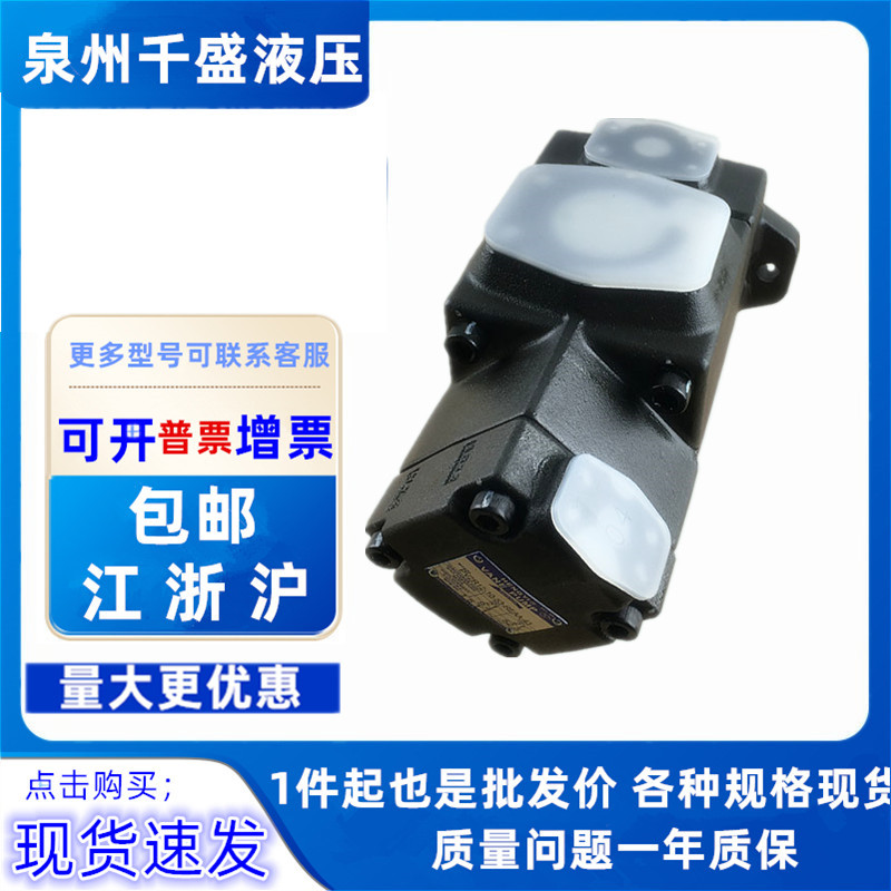 PV2R12-8/10/12/14/17/23/25/31-26/33/41/47/53/59/65-F-REAA-41