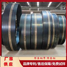����1095����� ȫӲ�Ͻ�1095����䓎� �M����ĥ1095����䓰�