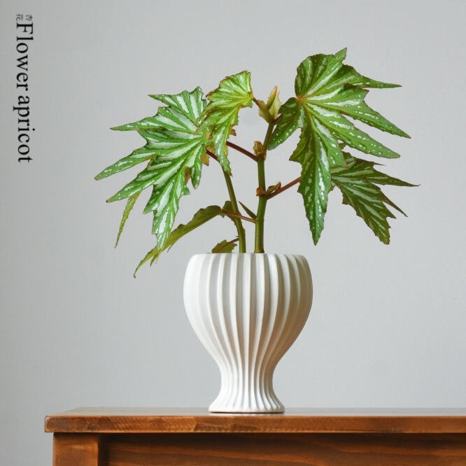 Foreign Trade Vase Export Last Order Scandinavian Style Ceramic Flower Vessel Modern Simple Ins Style Begonia Flower Pot
