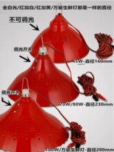 led低压生鲜灯 水果猪肉灯海鲜熟食生鲜灯 12-85V电瓶地摊夜市灯