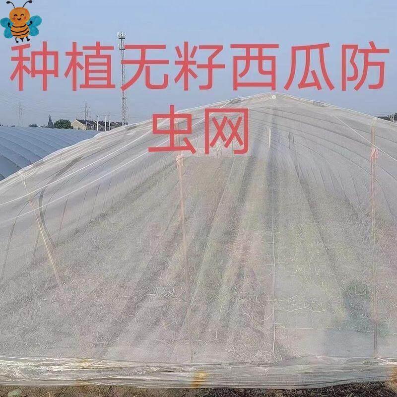 农用防虫网防蜜蜂苍蝇网套无籽西瓜防蜂网果蔬大棚门口网套