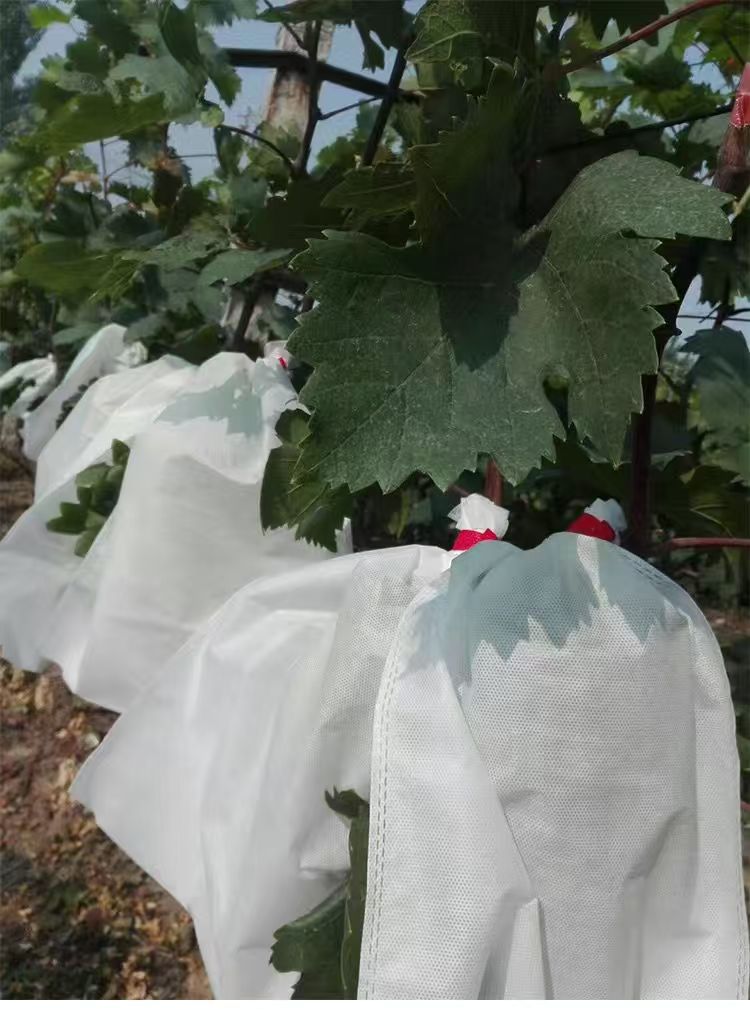 96748672935859b2ce4d5219f75cec