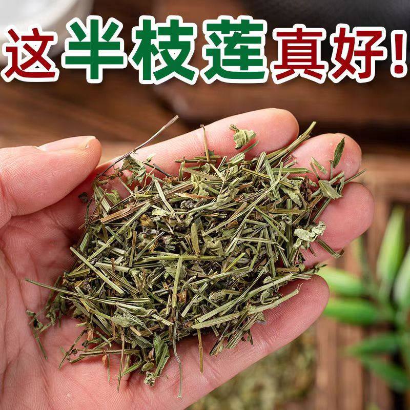 Ban Zhi Lian Dried Herb 250g Wild-Harvested Scutellaria barbata Whole Plant Traditional TCM Decoction Herb quality and texture