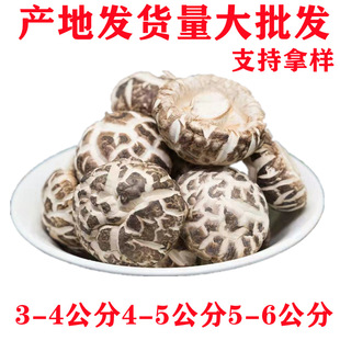 ��ꖴ󻨹�һ���r�Ҹ�؛�خa�ɻ������_����������Ģ����؛500g