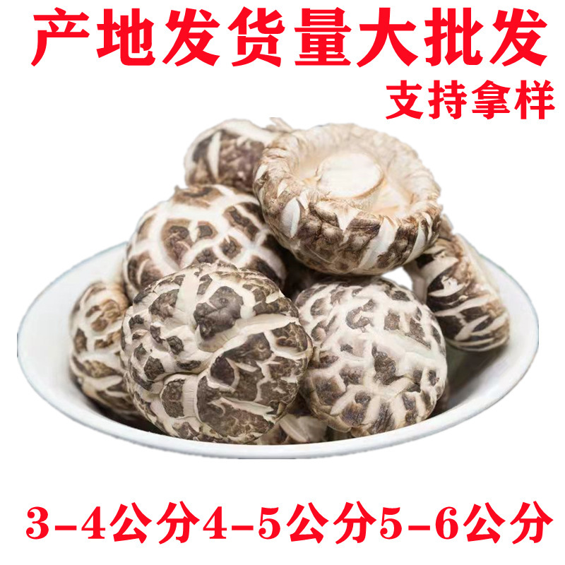 Yiyang Large Flower Mushroom 0.5kg Farm Dry Goods Specialty Dried Flower Mushroom Cut-Off Mushroom Mushroom Dried Mushroom New Arrival 500g