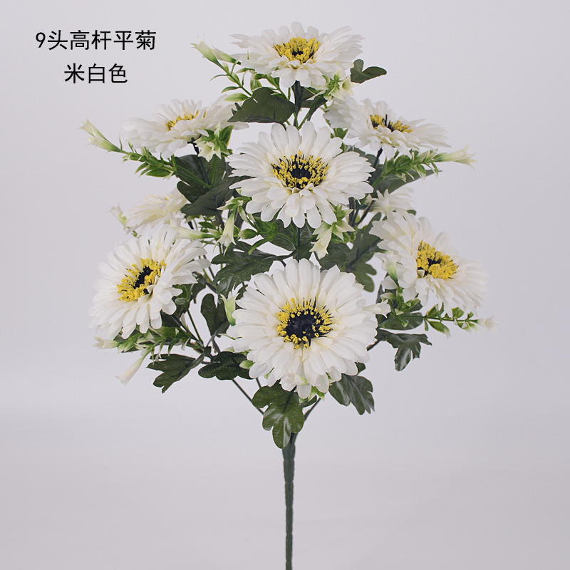 9头高杆平菊12 副本.jpg