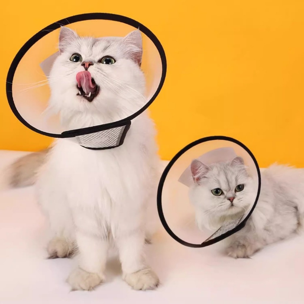 Anillo Elizabeth perro collar de gato collar de gato gato anillo anti-lamiendo gato perro mascota capucha cubierta de cabeza suministros anti-morder