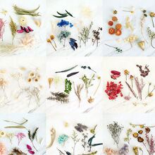 �S���������ɻ����ϰ� �ֹ������ɻ�diy������ɢ�������Ļ�����l