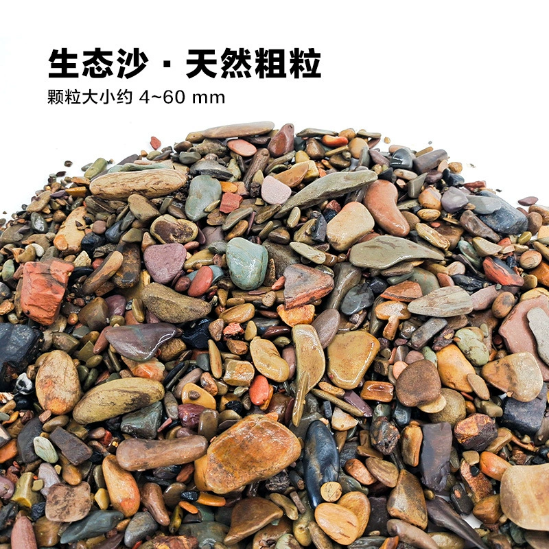 楸肩几搴曠爞閫犳櫙搴曟矙涔岄緹娌虫矙鍖栧