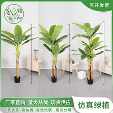 ���W���ͷ���ֲ��Ž��Gֲ���㽶��͏d����b�ͥԺ���~�[���٘�