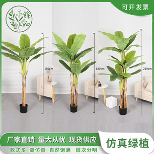 ���W���ͷ���ֲ��Ž��Gֲ���㽶��͏d����b�ͥԺ���~�[���٘�