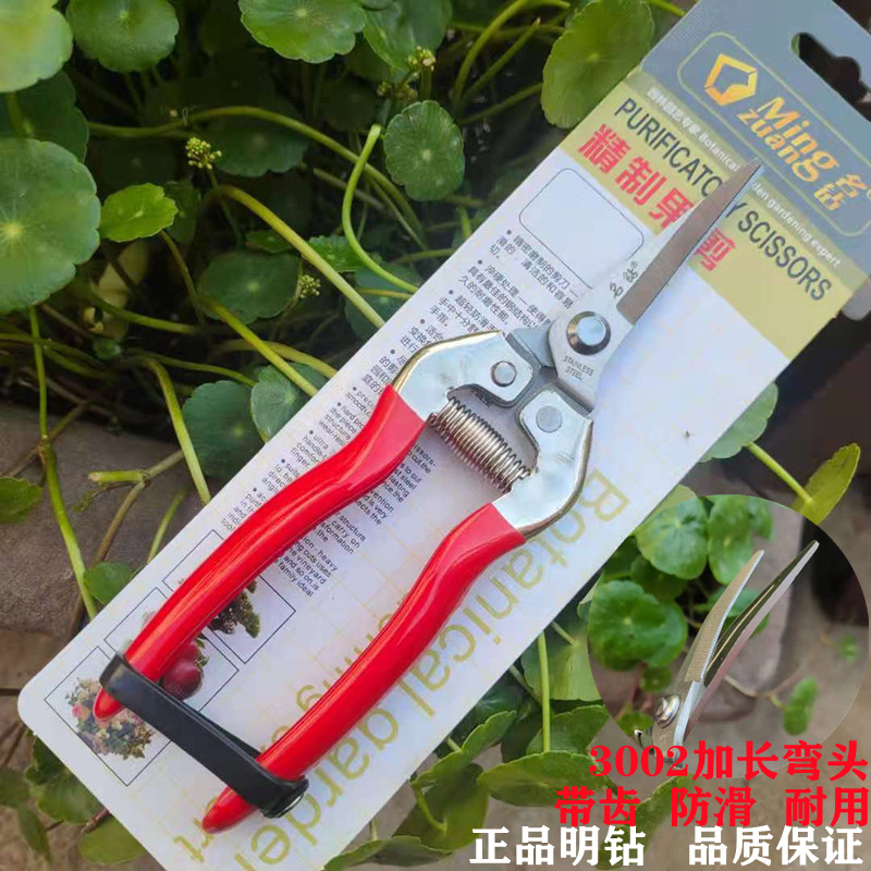 名钻3002不锈钢长弯头摘果剪稀果剪疏花葡萄采摘剪刀番茄剪园艺剪