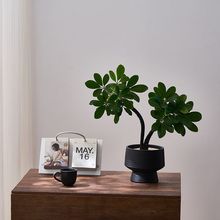 ���_�˷��҃ȁ�ؔ�͏d�k����������ؔ�Gֲ��������ֲ���ļ�����