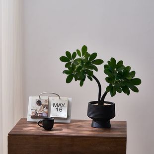 _˷҃ȁؔ͏dkؔGֲֲļ