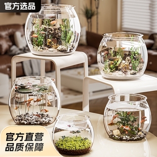 Fish tank round imitation glass fall-resistant living room office goldfish green plant viewing small landscape fighting fish ecological tank