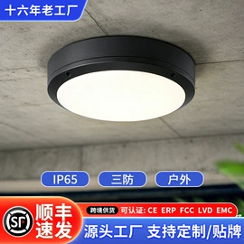 风扇灯;吸顶灯;吊灯