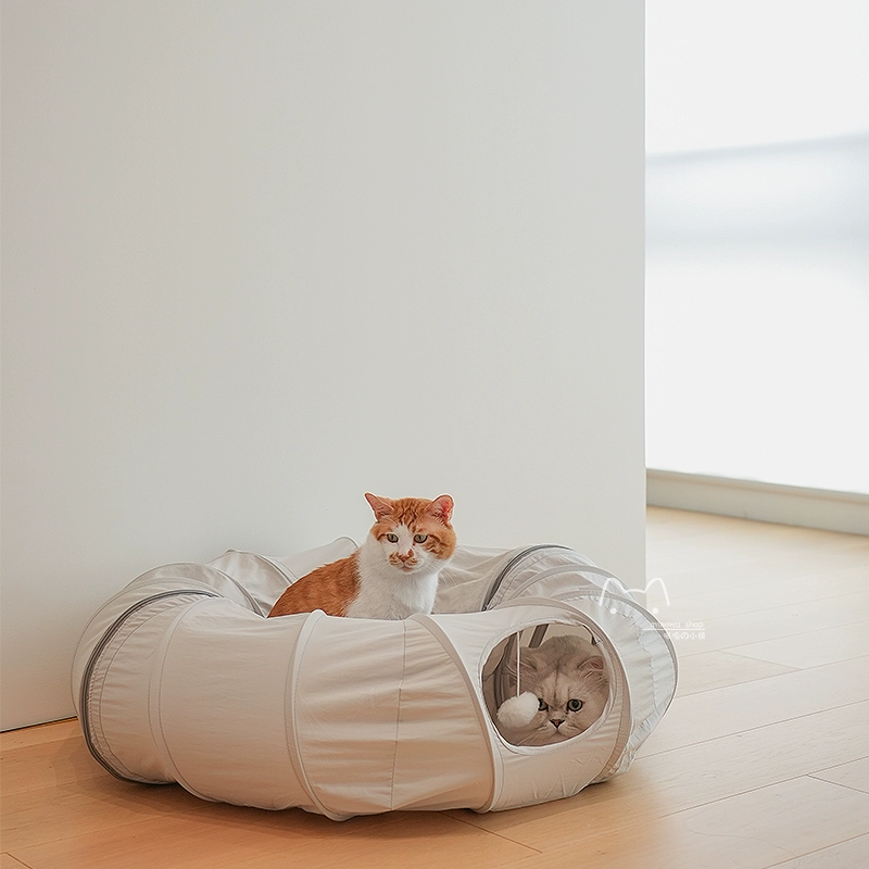 Кошка супер длинный туннель, чтобы избежать гнезда