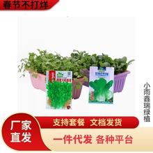 �߲˷N�Ӵ�ȫ�M���ײͻ��һ���ļ��׷N�̨���ԽM���b���˲˷N��