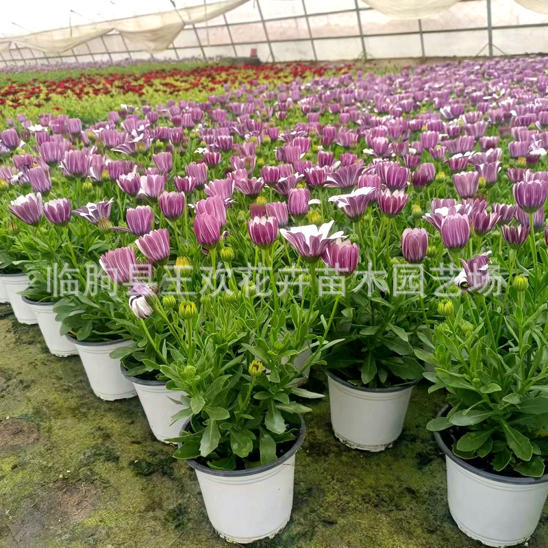 37bac262-809f-47a7-a8a9-b6c67a