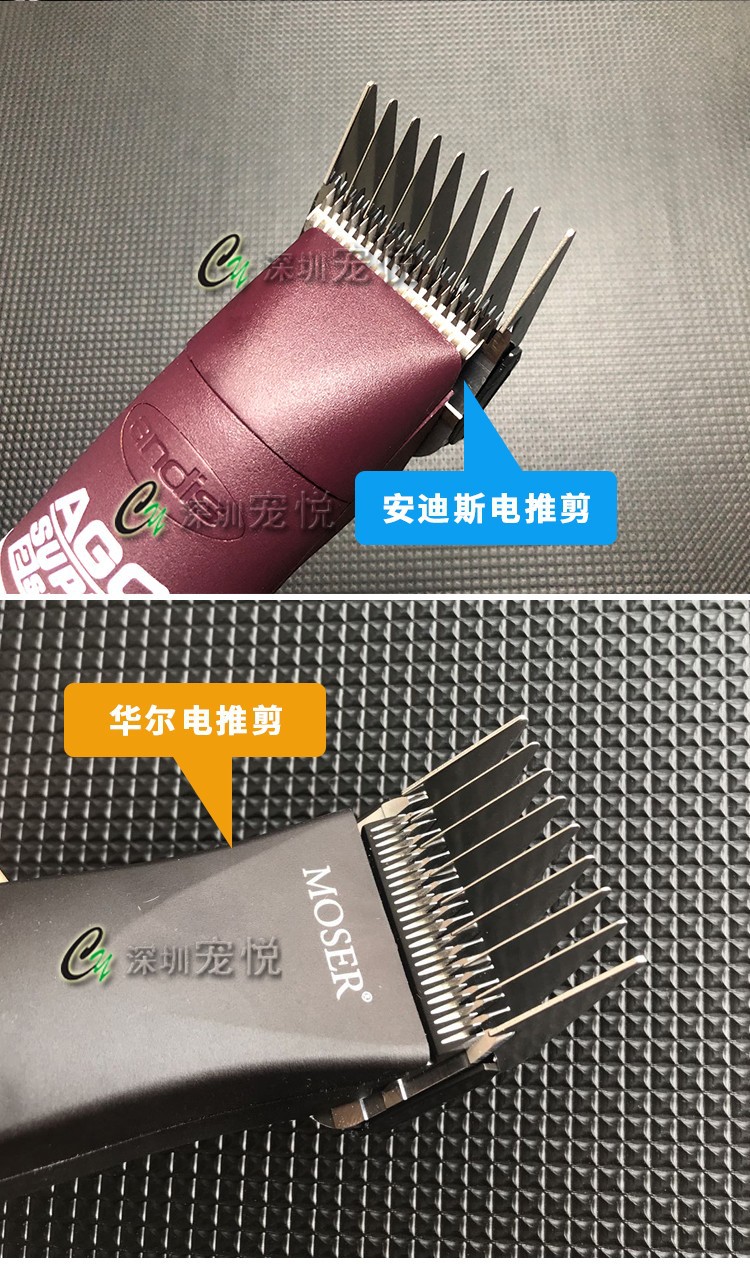 O1CN01J02yZJ1IDSoIi8BWf_!!6368