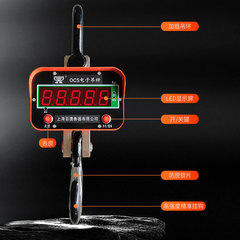 Handheld Electronic Weighing Scale with Print Display and Long Battery Life