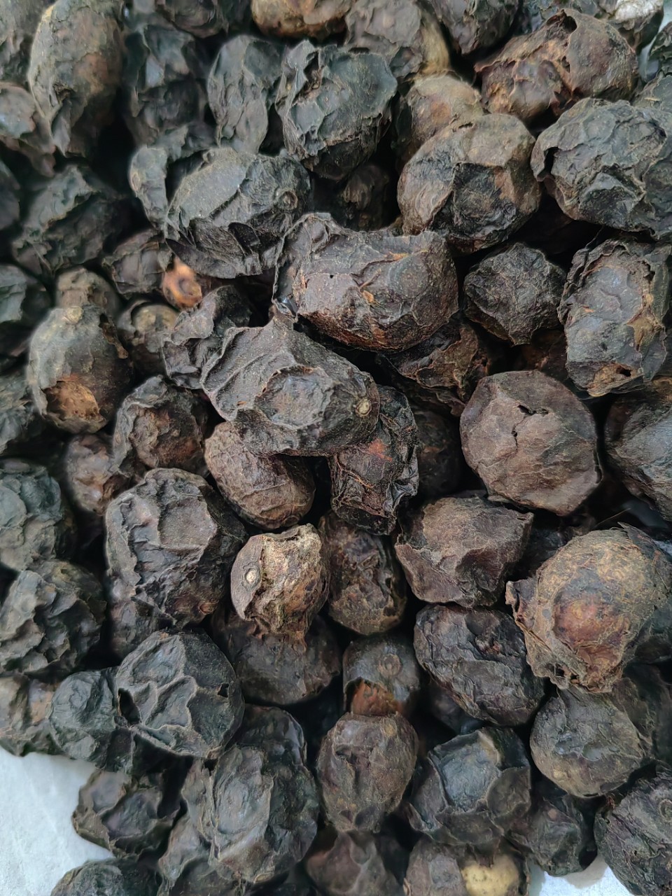 Guang Zao (Choerospondias axillaris) — Dried Wild Jujube Fruit for Tea & Soup specifications