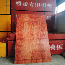 Сtľʩ֧ģ̹ӺzϰĽBģ