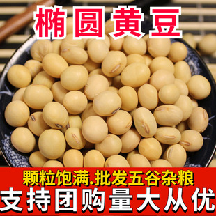 �E�A�S���]���l���D����E�A���S����Ʒ�N���r���ԷN���S��