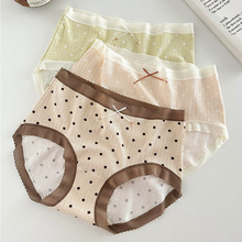 24�l���b��ϵ���ݲ��c������ѝŮʿ�A�c�����W��͸���ѝ���l�S��