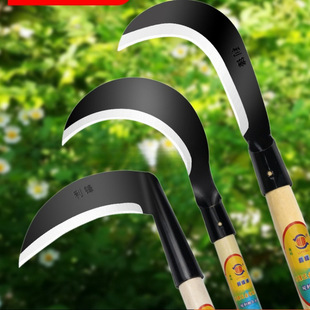 �r��砵���ݵ��i䓼Ӻ񿳲񏝵��_�Ŀ�������ޘ�֦�����_·Ұ�