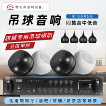天花吸顶吊球音响悬挂式定压套装餐厅奶茶店铺吊顶吊装喇叭音箱