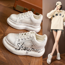 ���С��ЬŮ2026�����¿�ٴ��\�����e��ЬҰţ�y����������ŮЬ