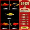 Red ball 5 moonlight 5 ingot 5 peony 5 panda 5