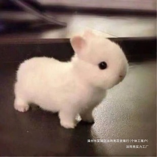 ����٪�����L�������㴹����С���ü��B���������ӌ���@ˇ����