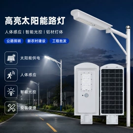 太阳能灯;草坪灯;道路照明灯